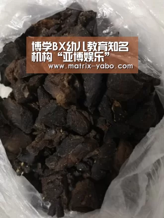 博学BX幼儿教育知名机构“亚博娱乐”(图3) 亚博官网