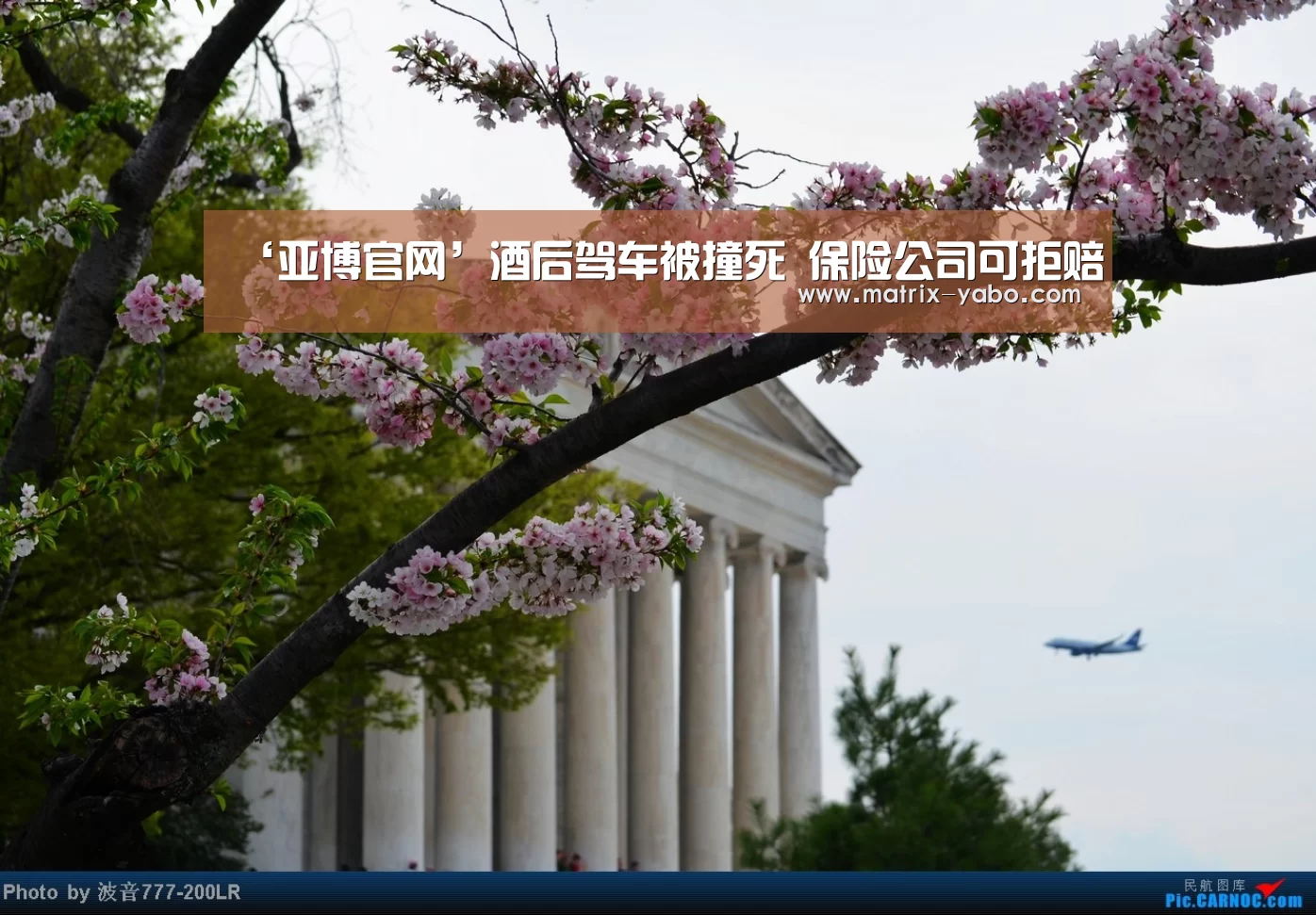 ‘亚博官网’酒后驾车被撞死 保险公司可拒赔(图2) 亚博平台