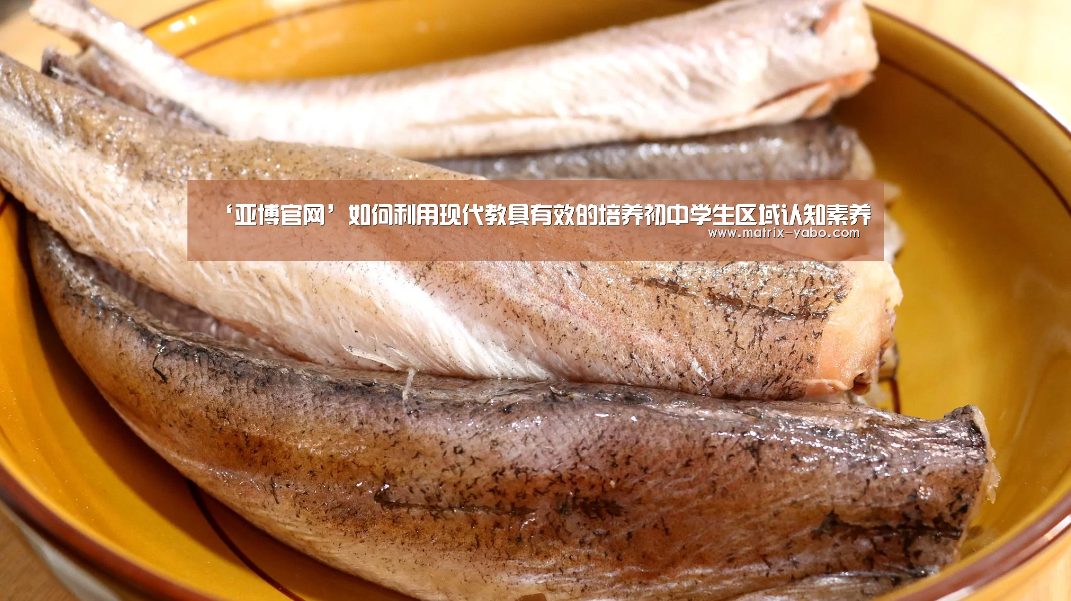 ‘亚博官网’如何利用现代教具有效的培养初中学生区域认知素养(图2) 亚博平台