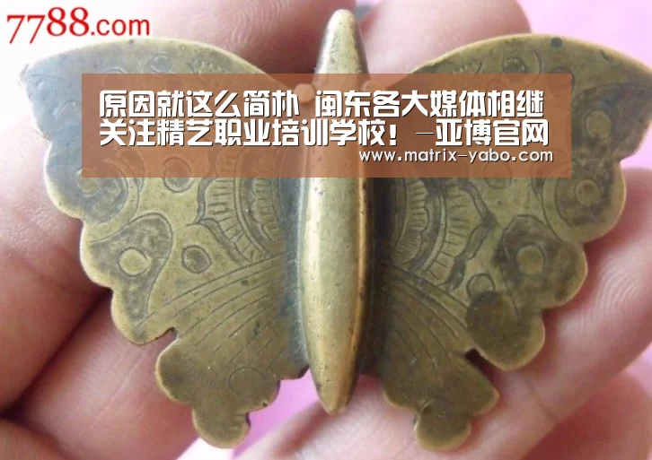 原因就这么简朴 闽东各大媒体相继关注精艺职业培训学校!-亚博官网(图3) 亚博官网